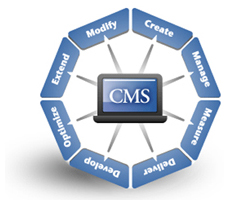 what is the affordable cms for web development