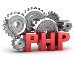 php based cms development Delhi